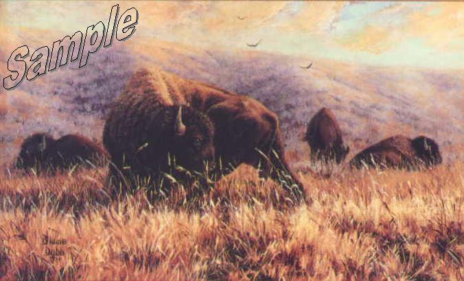 Buffalo Image